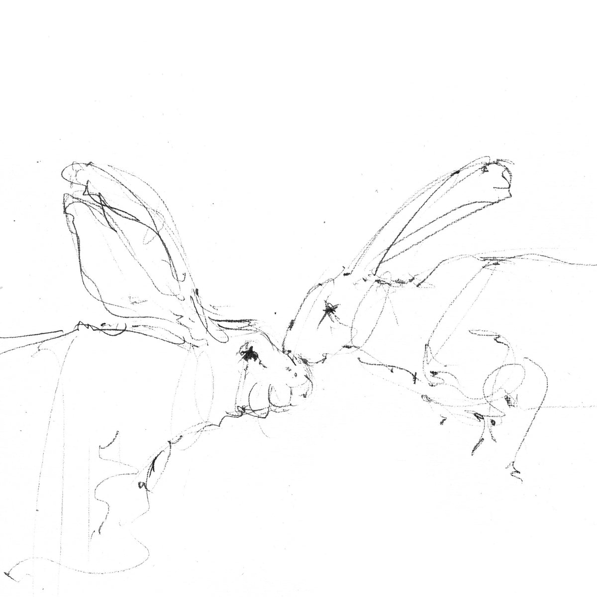 Just a Kiss – Hare Fine Art Print