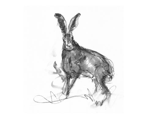 Standing Proud – Hare Fine Art Print