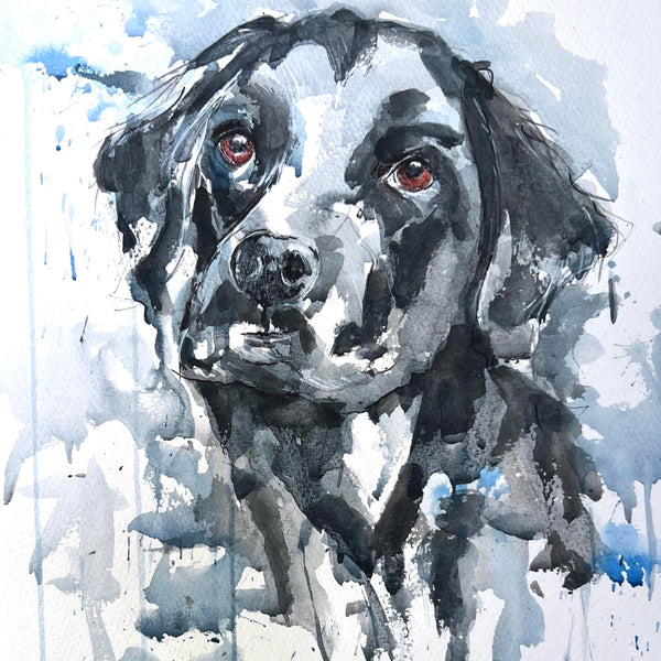 A Portrait of Bella