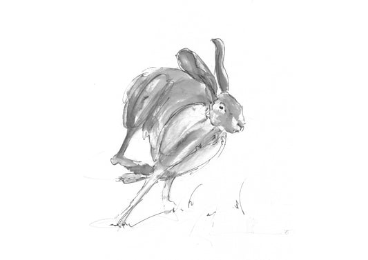 On the Run – Hare Fine Art Print