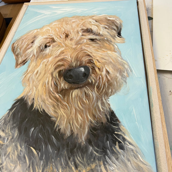 A Memory of Alfie the Airedale