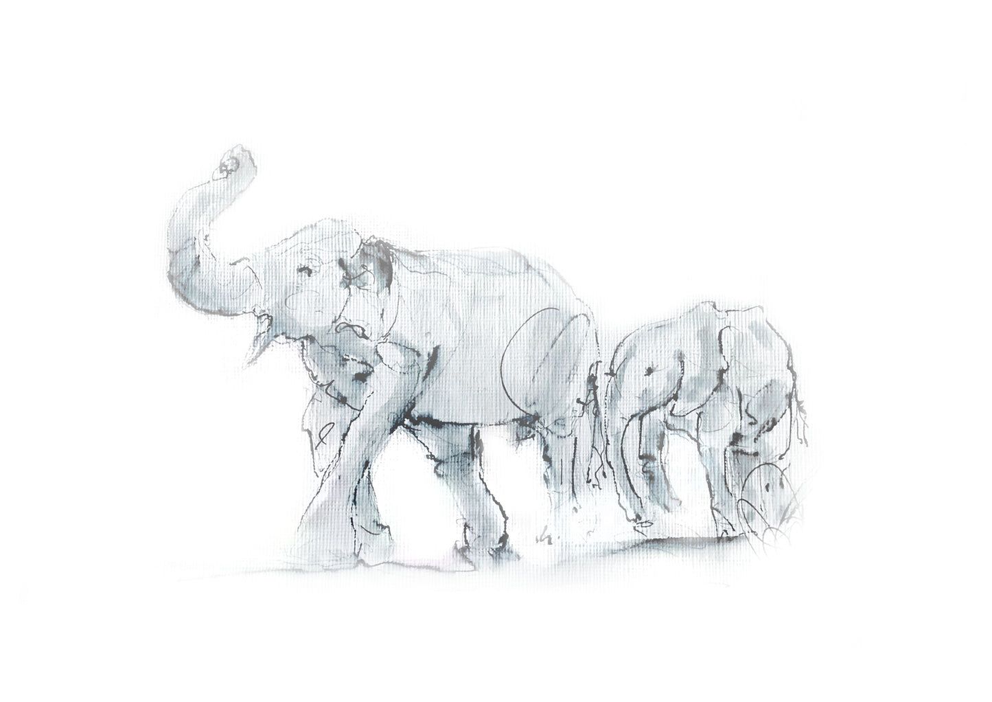 Close up detail of elephant mother and calf ink and watercolour wildlife illustration