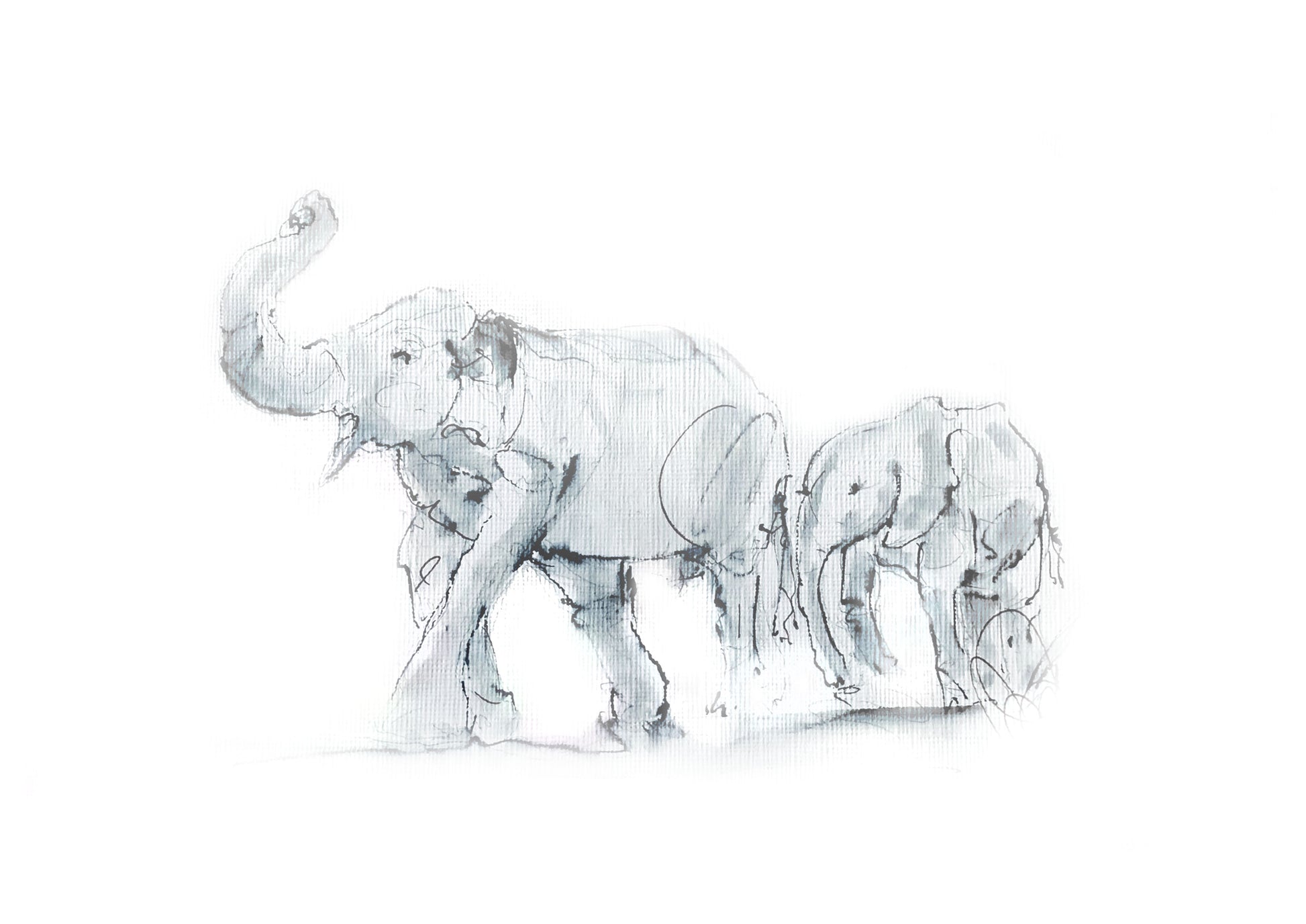 Close up detail of elephant mother and calf ink and watercolour wildlife illustration