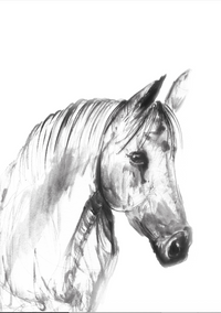 Emma the Horse | A5 Mounted Print