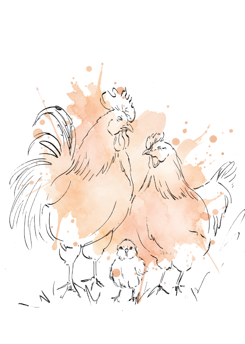 Chickens Peach – Nursery Wall Art Print | Hen, Rooster & Chick