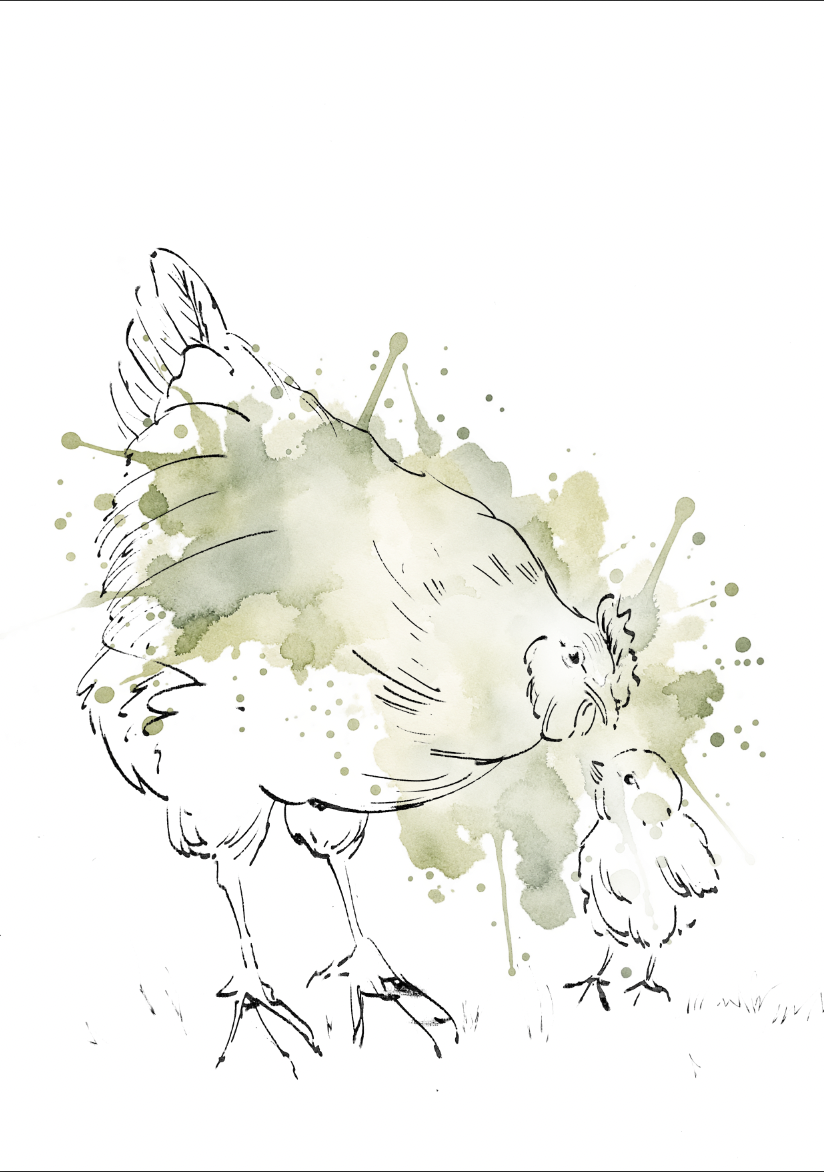 Little Chick Sage – Nursery Wall Art Print | Hen & Chick