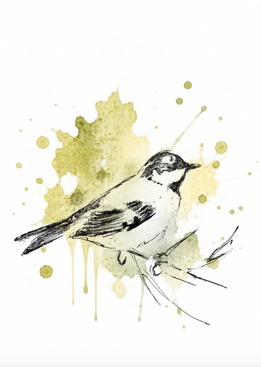 Quiet Moment – Coal Tit Fine Art Print