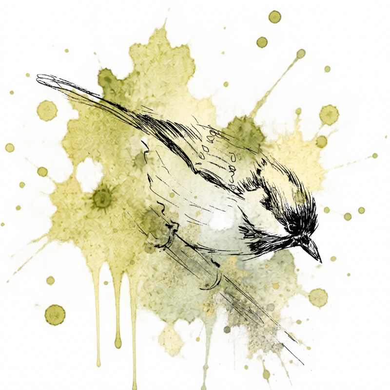 British Birds