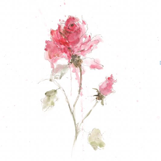 Rose – Contemporary Floral Fine Art Print