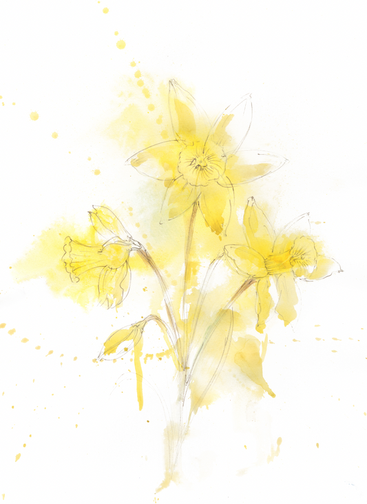Daffodils – Contemporary Floral Fine Art Print