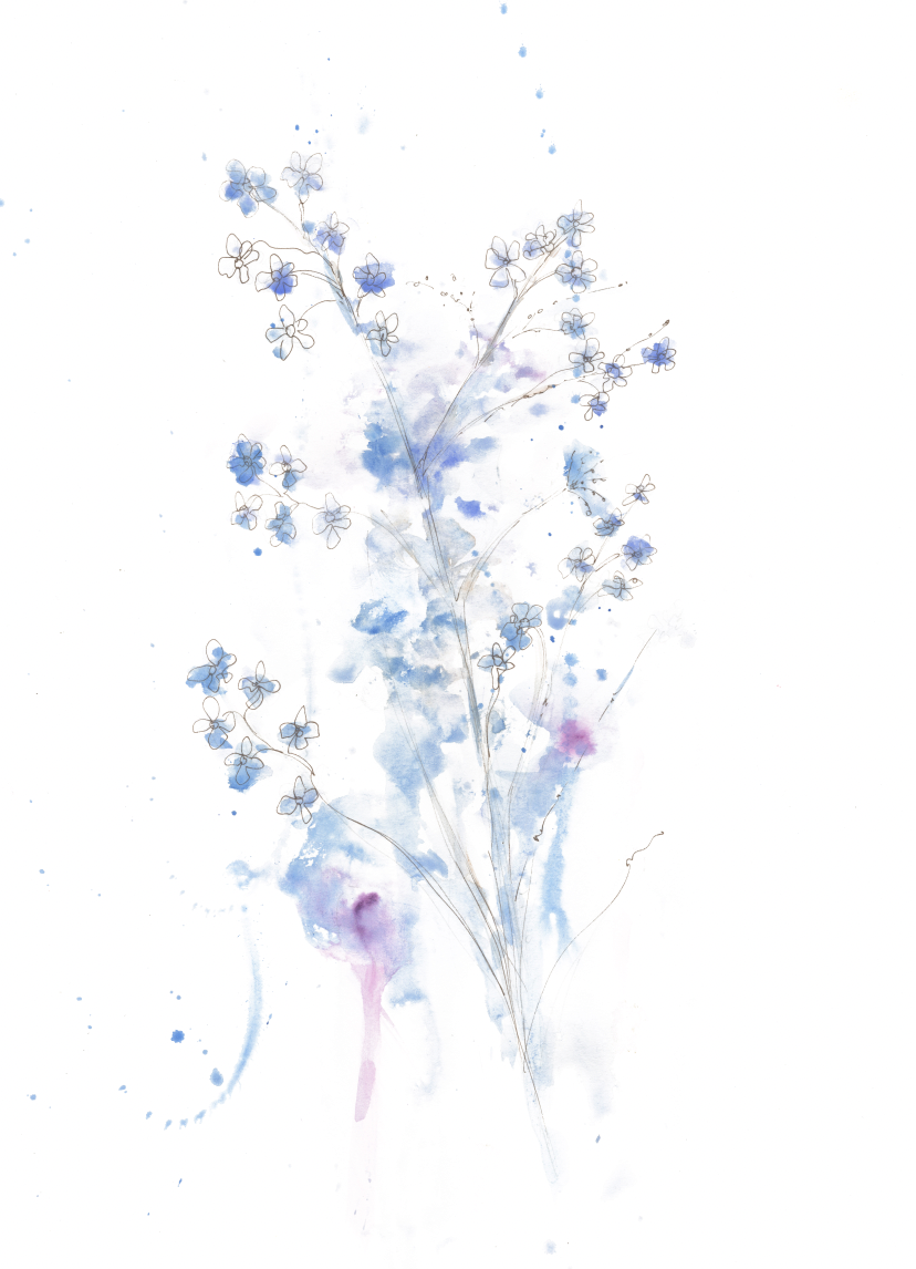 Forget-Me-Nots – Contemporary Floral Fine Art Print