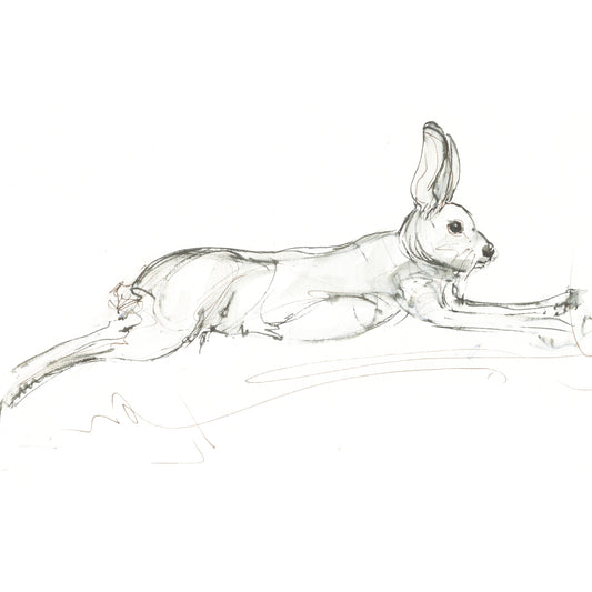 Full Flight Hare