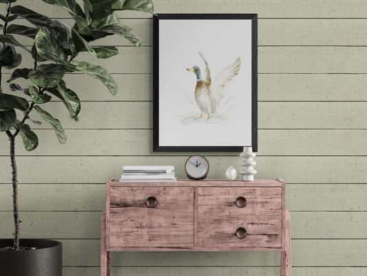 Framed Print Mallard Duck image 0