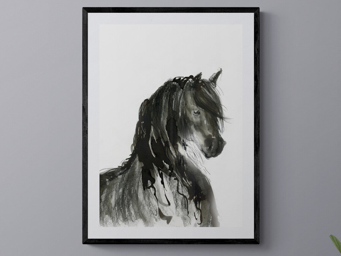 Framed Print Nero the Friesian Horse image 4