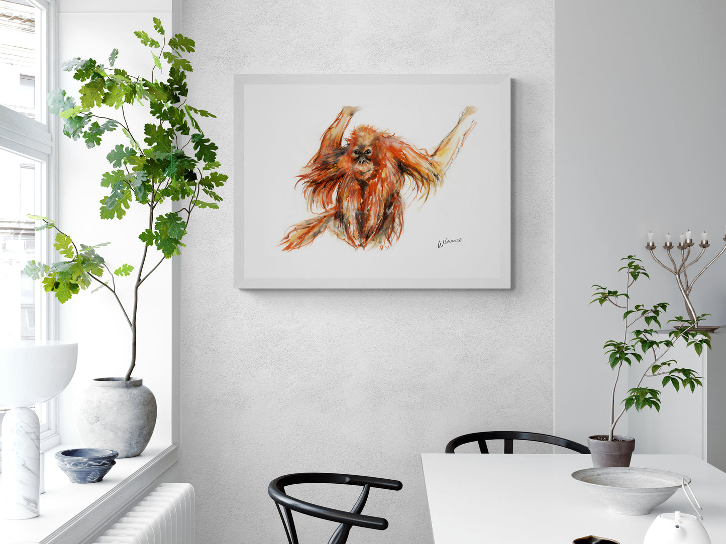 Framed Print of Eddie the Orangutan image 2