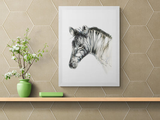 Framed Print Ziggy the Zebra image 0