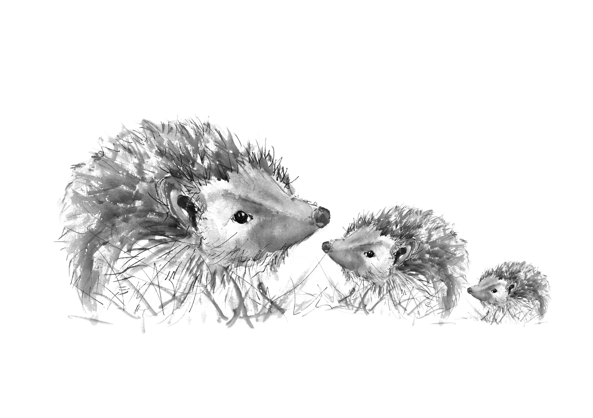 Framed Print of the Spike Family of Hedgehogs image 2