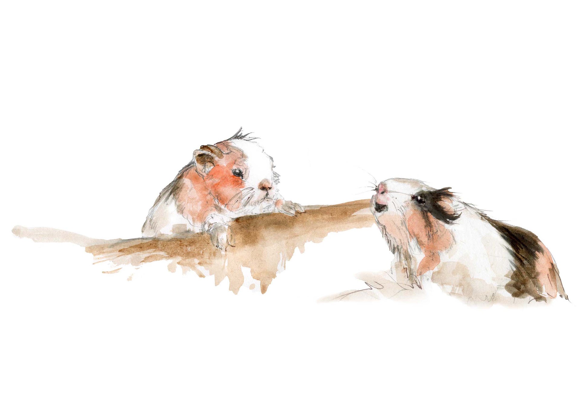Framed Print Charlie and Lola the Guinea Pigs image 1
