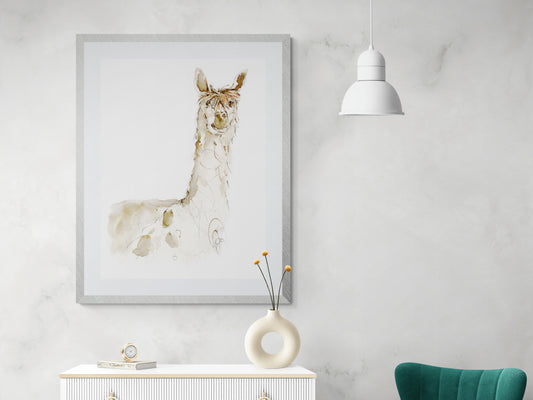 Framed Print Arnold the Alpaca image 0
