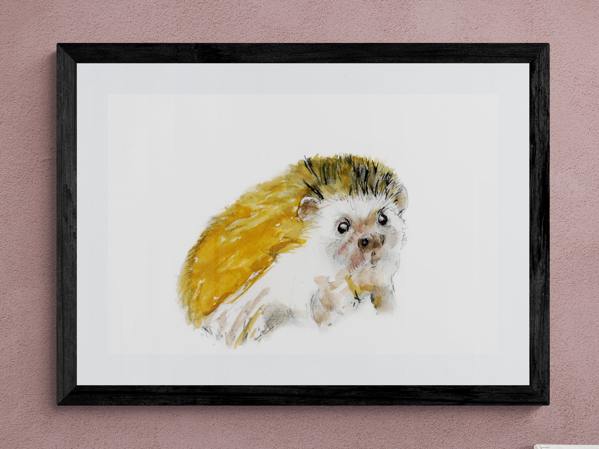 Framed Print Bailey the Hedgehog image 0