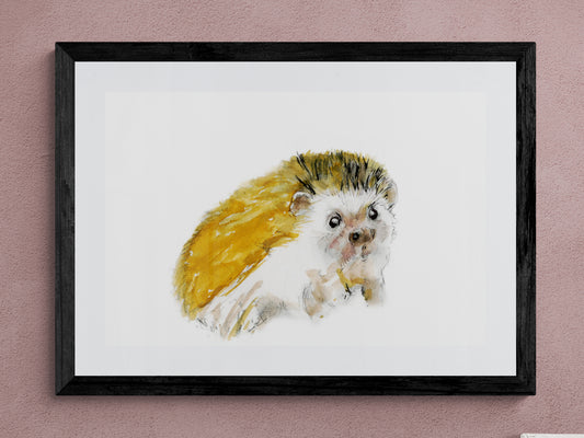 Framed Print Bailey the Hedgehog image 0