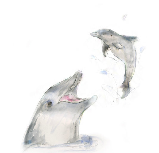Framed Print  Fin and Flipper the Dolphins image 0
