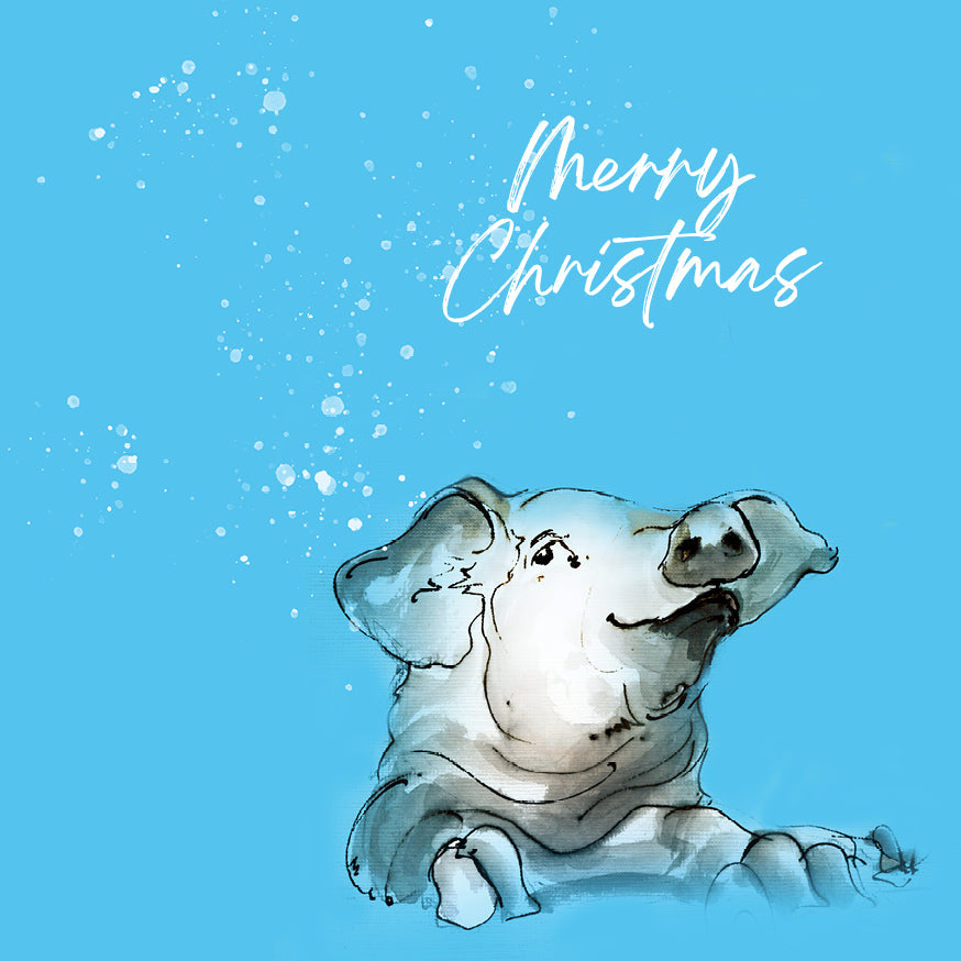 Set of 5 Christmas Cards Pigs image 1