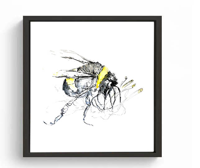 Limited Edition Square Canvas Print Bertie the Bumble Bee image 0