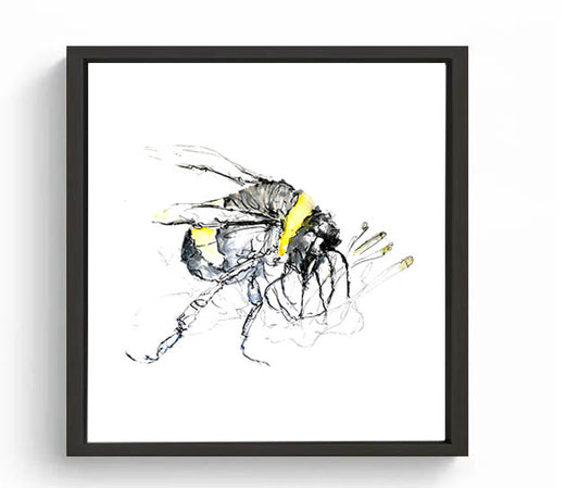 Limited Edition Square Canvas Print Bertie the Bumble Bee image 0